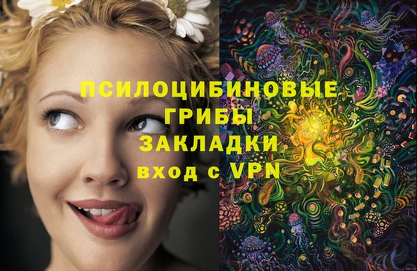 стафф Карпинск