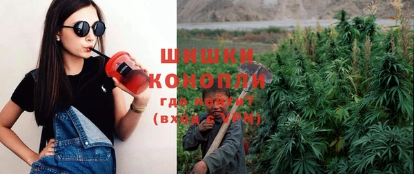 стафф Карпинск