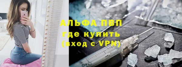 стафф Карпинск