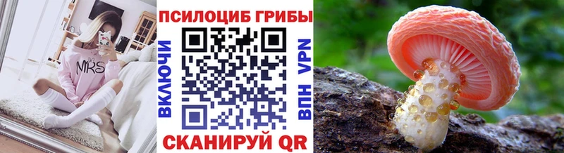 Галлюциногенные грибы Psilocybe  Купить где  Сосногорск 